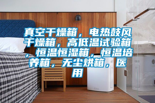 真空干燥箱，電熱鼓風干燥箱，高低溫試驗箱，恒溫恒濕箱，恒溫培養箱，無塵烘箱，醫用