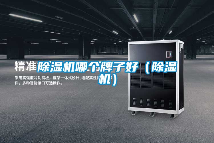 除濕機(jī)哪個(gè)牌子好（除濕機(jī)）