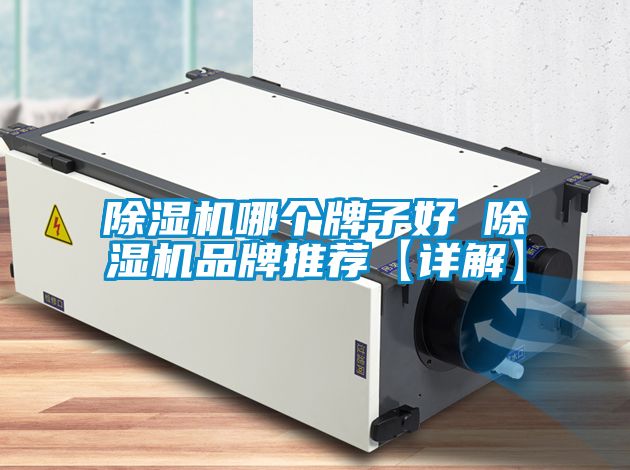 除濕機哪個牌子好 除濕機品牌推薦【詳解】