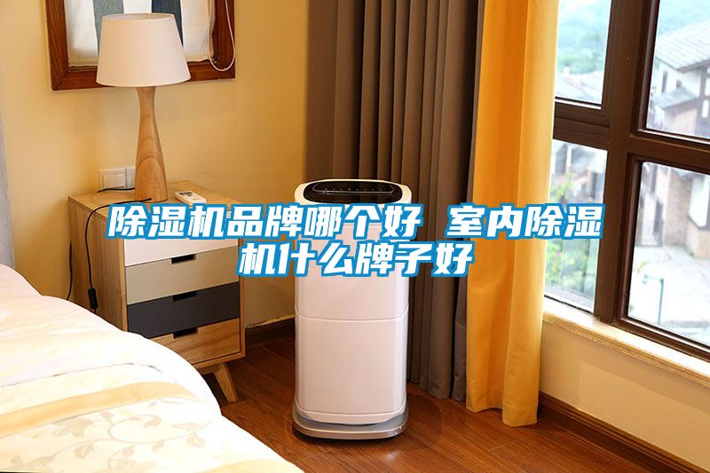 除濕機品牌哪個好 室內除濕機什么牌子好