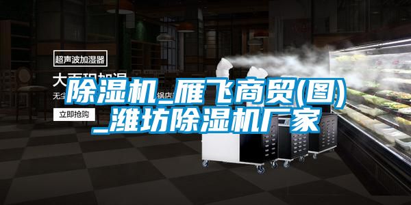 除濕機_雁飛商貿(圖)_濰坊除濕機廠家