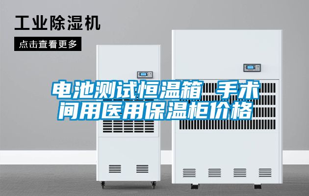 電池測(cè)試恒溫箱 手術(shù)間用醫(yī)用保溫柜價(jià)格