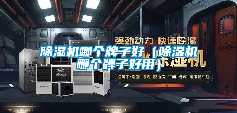 除濕機哪個牌子好（除濕機哪個牌子好用）