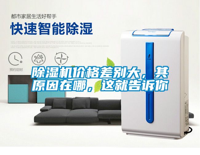 除濕機(jī)價(jià)格差別大，其原因在哪，這就告訴你