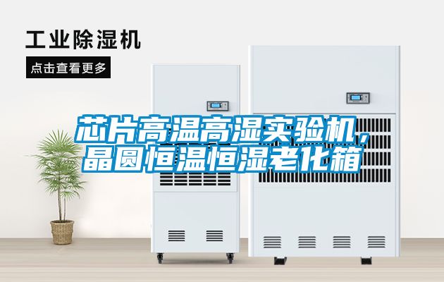 芯片高溫高濕實驗機，晶圓恒溫恒濕老化箱