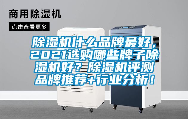 除濕機什么品牌最好，2021選購哪些牌子除濕機好？除濕機評測品牌推薦+行業分析！