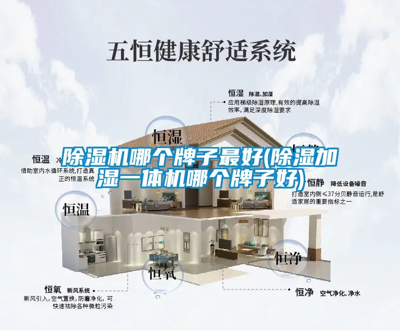 除濕機(jī)哪個牌子最好(除濕加濕一體機(jī)哪個牌子好)