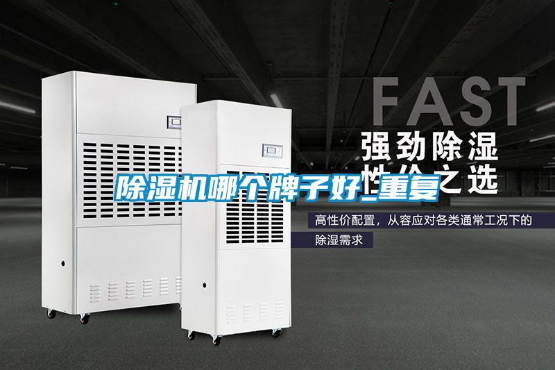 除濕機哪個牌子好_重復