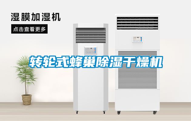 轉(zhuǎn)輪式蜂巢除濕干燥機(jī)
