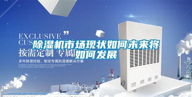 除濕機市場現(xiàn)狀如何未來將如何發(fā)展