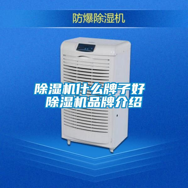 除濕機(jī)什么牌子好 除濕機(jī)品牌介紹
