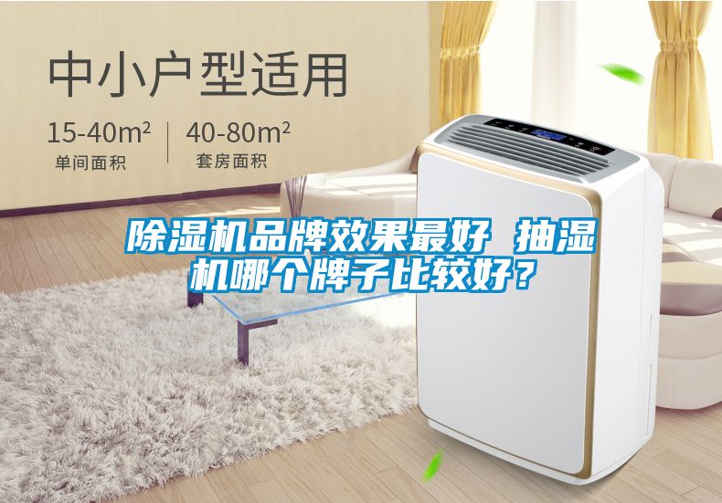 除濕機品牌效果最好 抽濕機哪個牌子比較好？