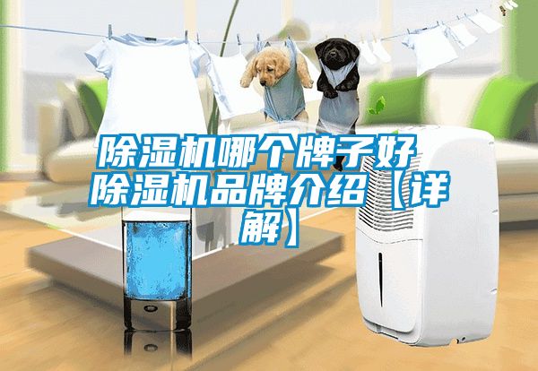 除濕機(jī)哪個(gè)牌子好 除濕機(jī)品牌介紹【詳解】