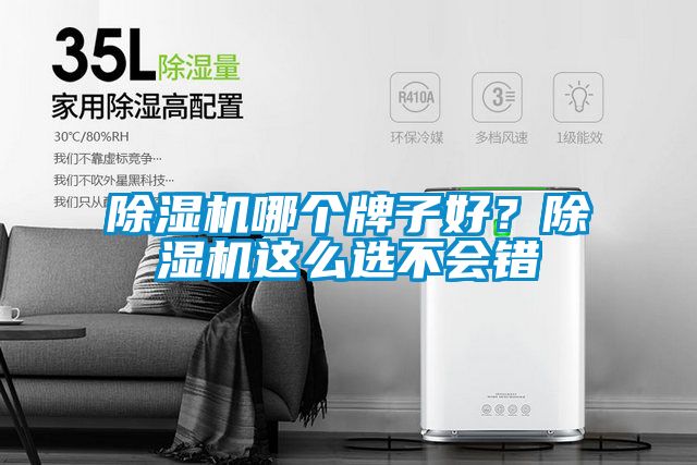 除濕機哪個牌子好？除濕機這么選不會錯