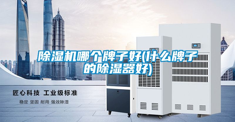 除濕機哪個牌子好(什么牌子的除濕器好)
