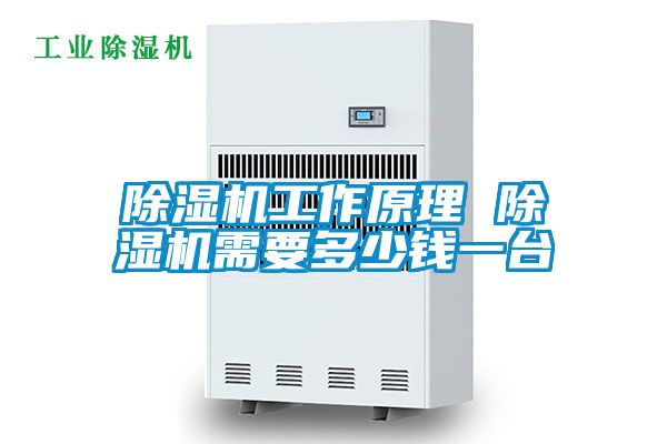 除濕機工作原理 除濕機需要多少錢一臺