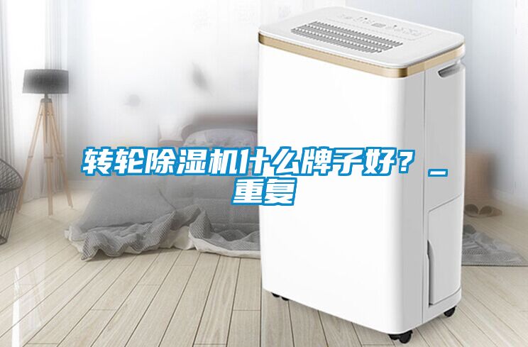 轉(zhuǎn)輪除濕機什么牌子好？_重復(fù)