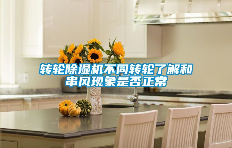 轉輪除濕機不同轉輪了解和串風現象是否正常
