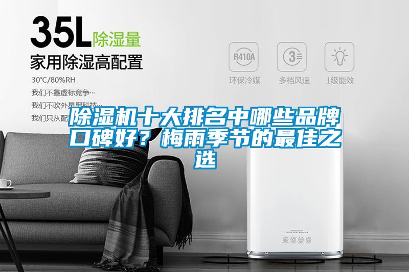 除濕機十大排名中哪些品牌口碑好？梅雨季節的最佳之選