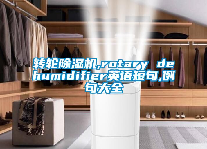 轉輪除濕機,rotary dehumidifier英語短句,例句大全