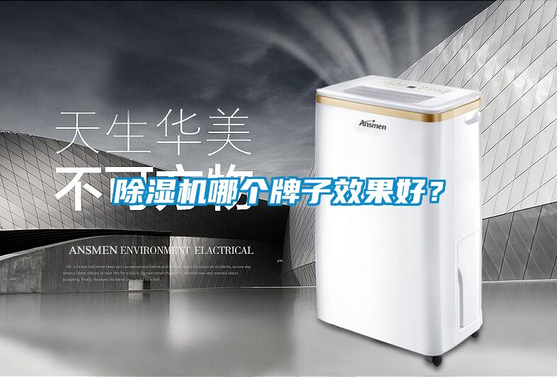 除濕機哪個牌子效果好？