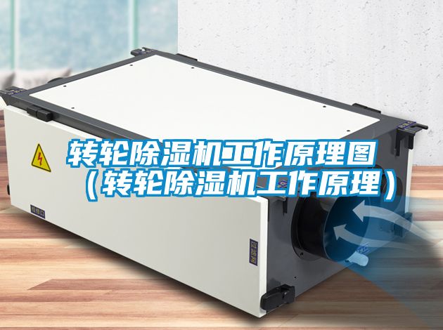 轉(zhuǎn)輪除濕機(jī)工作原理圖（轉(zhuǎn)輪除濕機(jī)工作原理）
