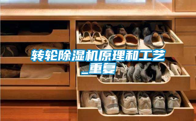 轉(zhuǎn)輪除濕機(jī)原理和工藝_重復(fù)