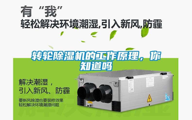 轉輪除濕機的工作原理，你知道嗎