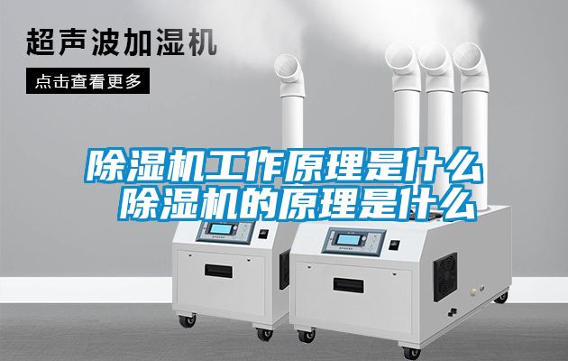 除濕機工作原理是什么 除濕機的原理是什么