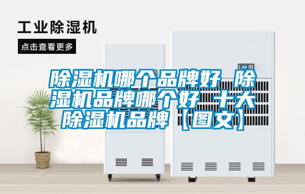 除濕機(jī)哪個(gè)品牌好 除濕機(jī)品牌哪個(gè)好 十大除濕機(jī)品牌【圖文】