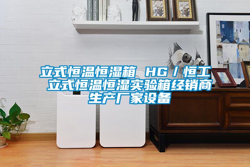 立式恒溫恒濕箱 HG／恒工 立式恒溫恒濕實驗箱經銷商 生產廠家設備