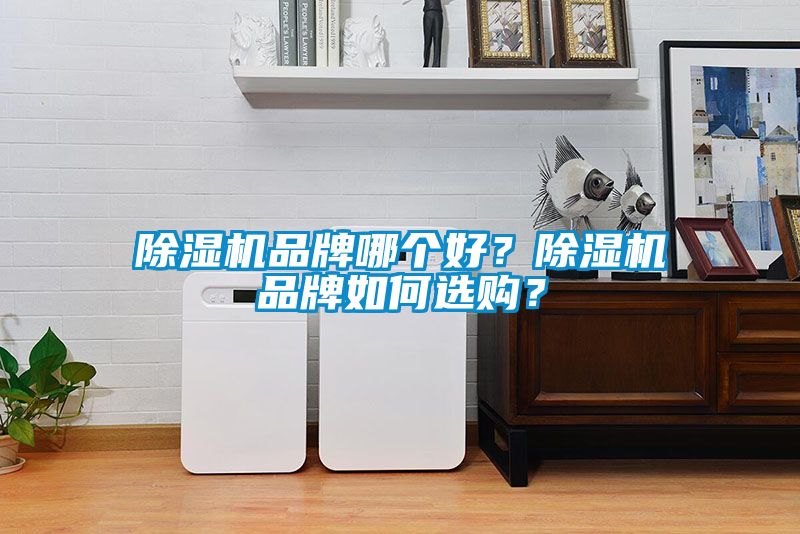 除濕機品牌哪個好？除濕機品牌如何選購？