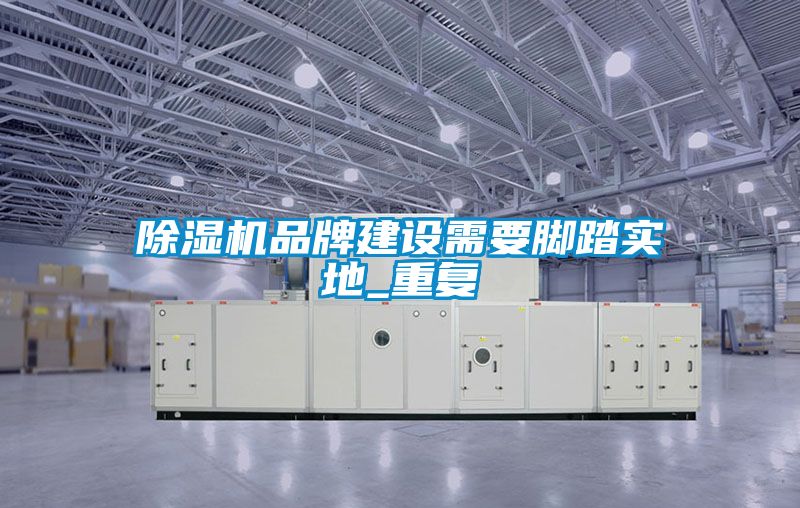 除濕機(jī)品牌建設(shè)需要腳踏實(shí)地_重復(fù)