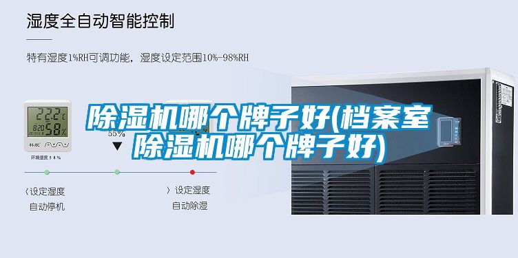 除濕機哪個牌子好(檔案室除濕機哪個牌子好)