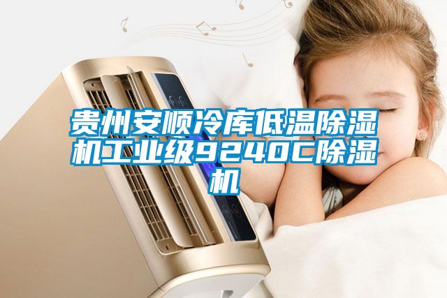 貴州安順冷庫低溫除濕機(jī)工業(yè)級9240C除濕機(jī)