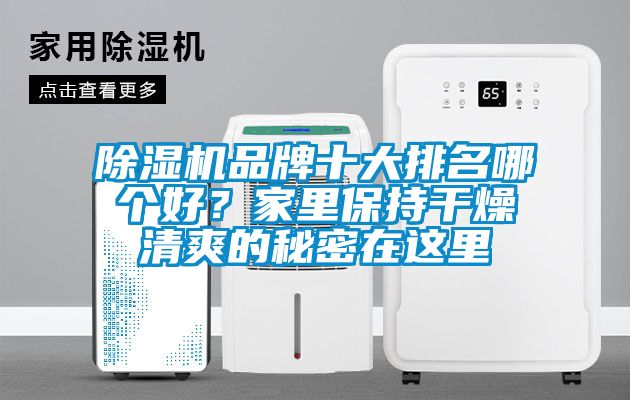 除濕機(jī)品牌十大排名哪個(gè)好？家里保持干燥清爽的秘密在這里