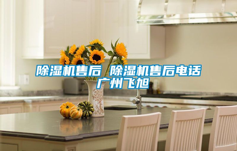 除濕機售后 除濕機售后電話 廣州飛旭