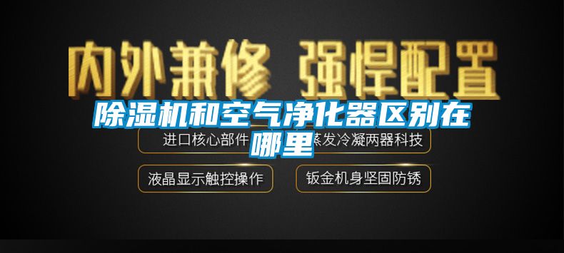 除濕機和空氣凈化器區別在哪里