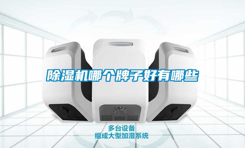 除濕機哪個牌子好有哪些