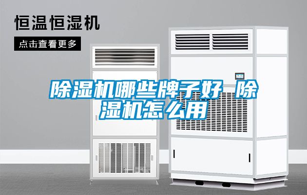 除濕機哪些牌子好 除濕機怎么用