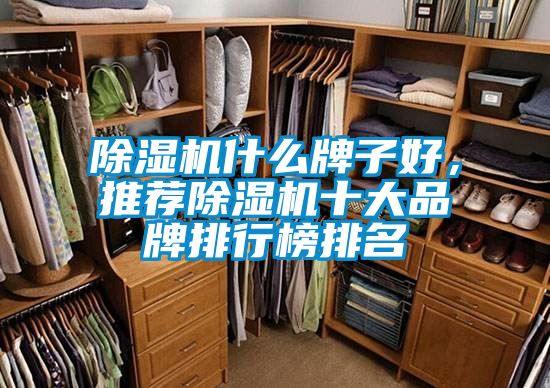 除濕機什么牌子好，推薦除濕機十大品牌排行榜排名