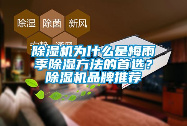 除濕機為什么是梅雨季除濕方法的首選？除濕機品牌推薦