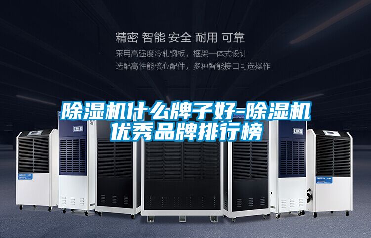 除濕機什么牌子好-除濕機優(yōu)秀品牌排行榜