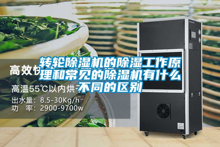 轉輪除濕機的除濕工作原理和常見的除濕機有什么不同的區別