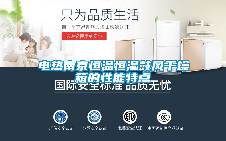 電熱南京恒溫恒濕鼓風干燥箱的性能特點