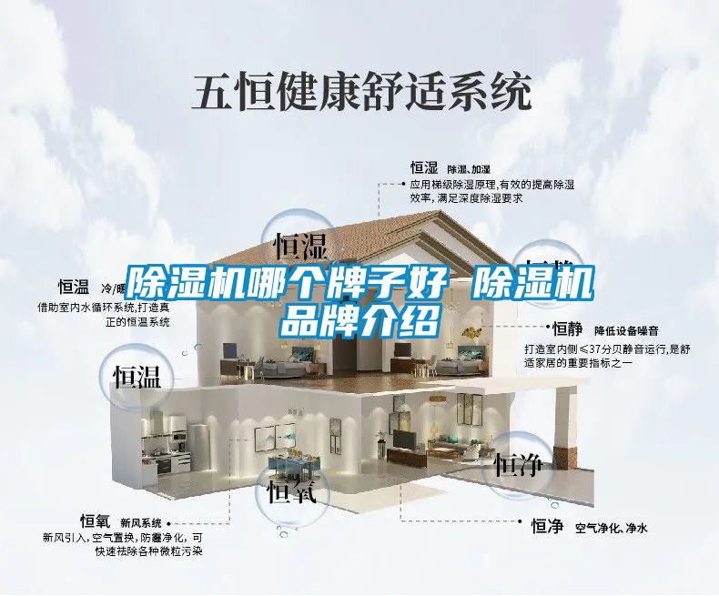 除濕機哪個牌子好 除濕機品牌介紹