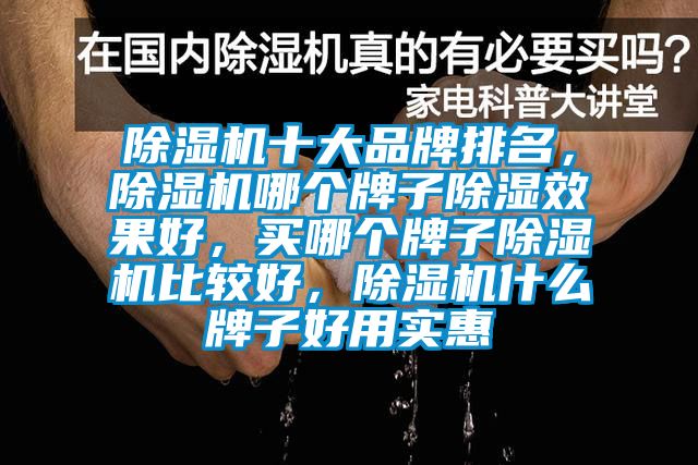 除濕機(jī)十大品牌排名，除濕機(jī)哪個(gè)牌子除濕效果好，買哪個(gè)牌子除濕機(jī)比較好，除濕機(jī)什么牌子好用實(shí)惠