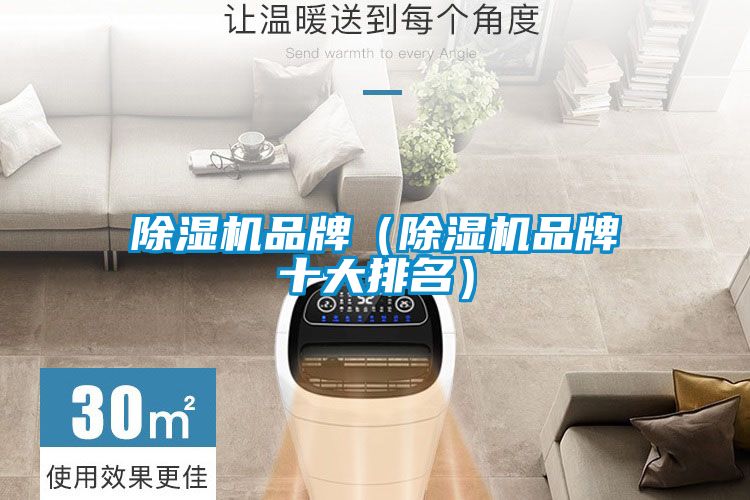 除濕機(jī)品牌（除濕機(jī)品牌十大排名）