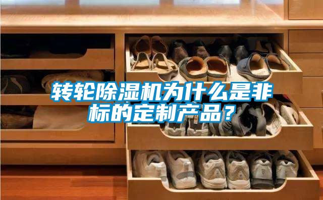 轉輪除濕機為什么是非標的定制產品？