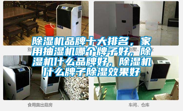 除濕機品牌十大排名，家用抽濕機哪個牌子好，除濕機什么品牌好，除濕機什么牌子除濕效果好